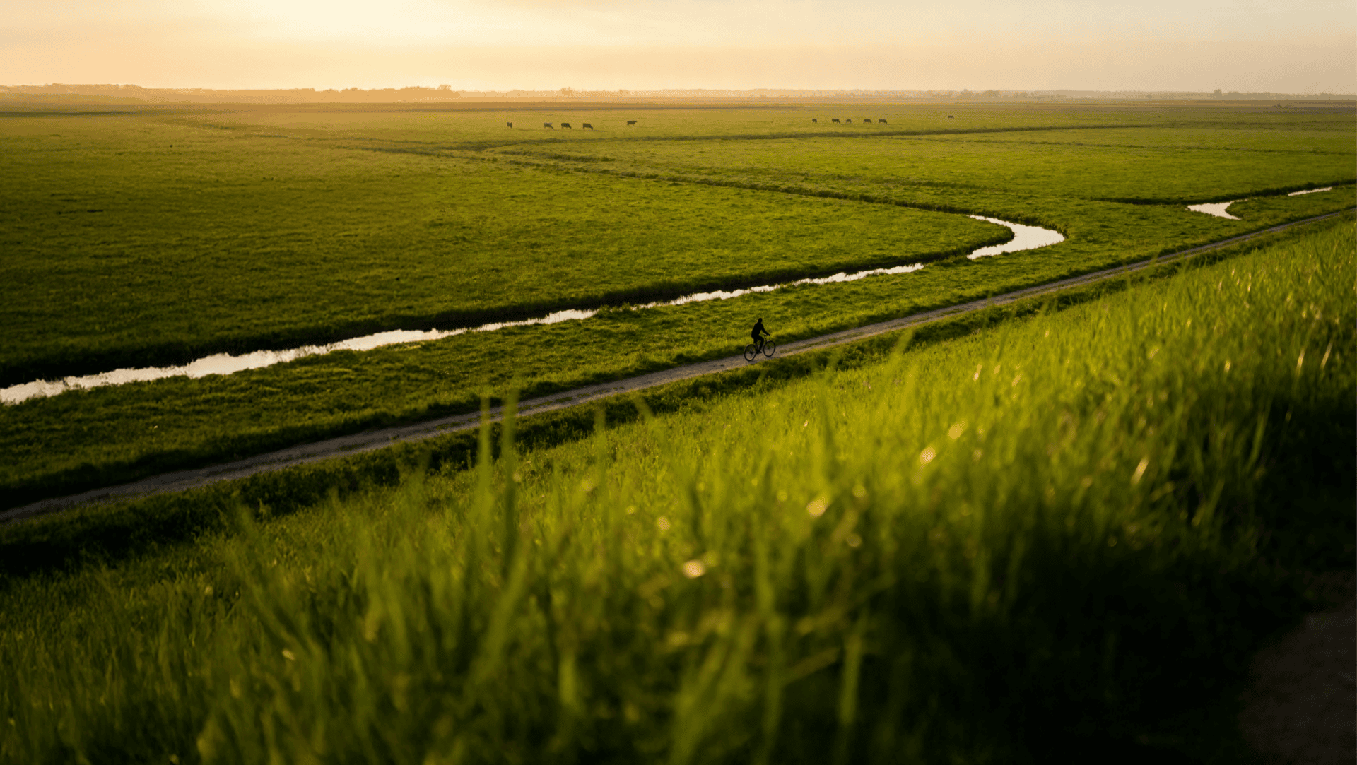fiscfree_employee_on_a_bike_in_holland